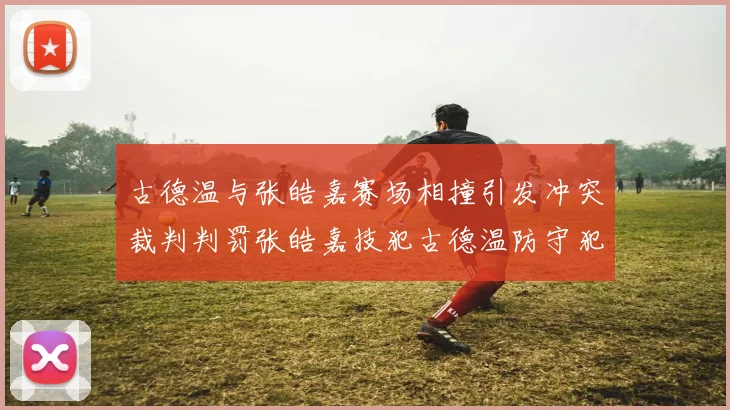 古德温与张皓嘉赛场相撞引发冲突裁判判罚张皓嘉技犯古德温防守犯规