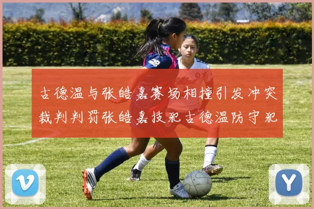 古德温与张皓嘉赛场相撞引发冲突裁判判罚张皓嘉技犯古德温防守犯规