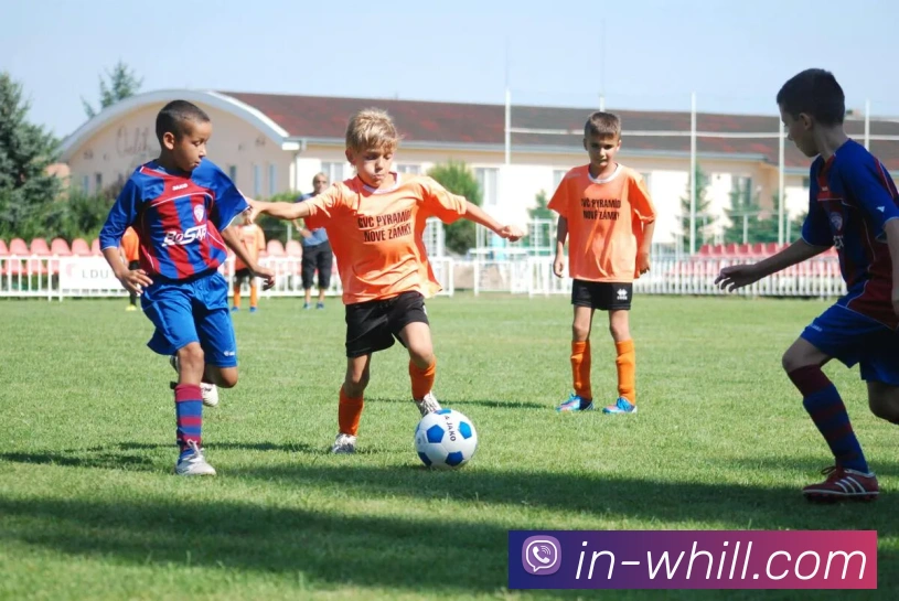 英超5队全数直通欧冠16强创历史意甲法甲遗憾挂零凸显联赛差距